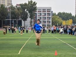 综合体育体育百科内容 规则与背景集中说明